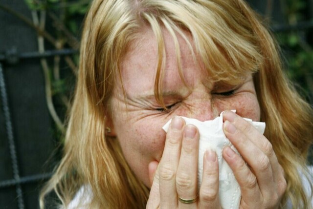 Hvordan vet man egentlig om man er allergisk mot pollen eller kun er forkjølet? Vi har spurt en ekspert. (Foto: Sara Johannessen Meek / NTB)