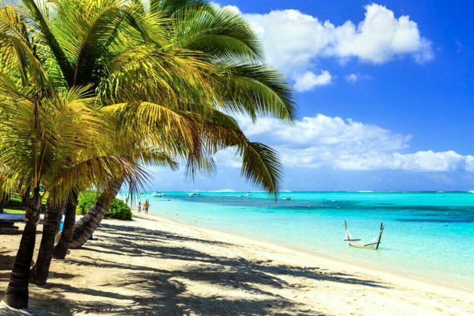 På utkikk etter hvite strender og krystallklart hav? Da er kanskje Mauritius destinasjonen for deg. Vi forteller når det er beste tid å reise dit. (Foto: Colourbox) Bilde av en strand på Mauritius hvor du ser grønne palmetrær og knallblått hav. Vi har laget en lang liste på hvor du må reise for å finne varme. Vi avslører blant annet temperaturer på Gran Canaria, Hellas, Kroatia og mange mange flere populære reisedestinasjoner.