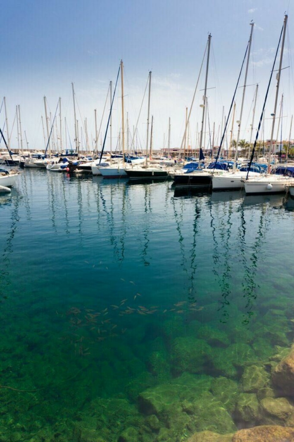 Puerto de Mogán byr behagelig klima året rundt og er derfor en populær destinasjon for de som besøker Gran Canaria. Dette bildet viser en marina med mange seilbåter fortøyd langs kaien i Puerto de Mogán på Gran Canaria. Mastenene på båtene strekker seg høyt opp mot en klar, blå himmel, og speilbildene deres reflekteres i det rolige, klare vannet. Vannet er så klart at man kan se fisk og undervannsvegetasjon tydelig. I bakgrunnen kan man skimte bygninger og palmer som bidrar til en idyllisk og avslappet atmosfære. Her finner du en guide til Puerto de Mogán på Gran Canaria slik at du kan nyte en behagelig ferie på den populære Kanariøya.