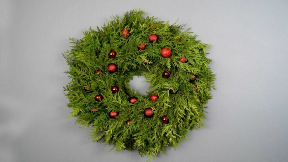 Denne julekransen er laget med samme teknikk som kransen over. Her er det brukt tuja som vintergrønt, og små røde julekuler innimellom. (Foto: ABC Brand Studio)
