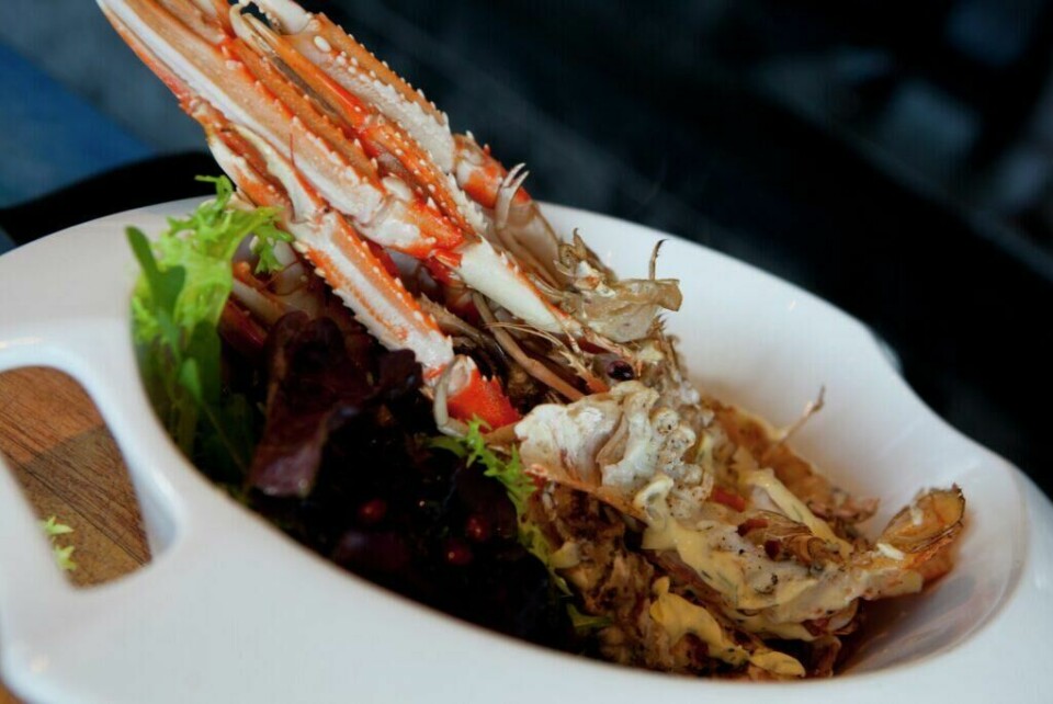 Bergen er UNESCO matby og har et stort utvalg restauranter. Avbildet er mat fra et av Bergens gode tilbud, Cornelius Sjømatrestaurant. (Foto: Cornelius Sjømatrestaurant) Bilde av mat fra Cornelius Sjømatrestaurant i Bergen