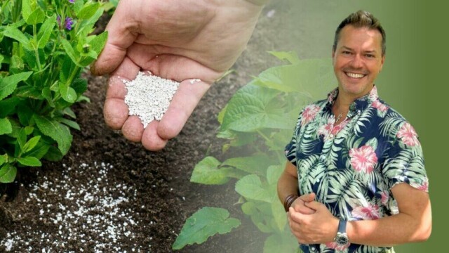 Espen Skarphagen forklarer når du bør slutte å gjødsle om høsten for sunnere planter. (Foto: Kreative Ideer)