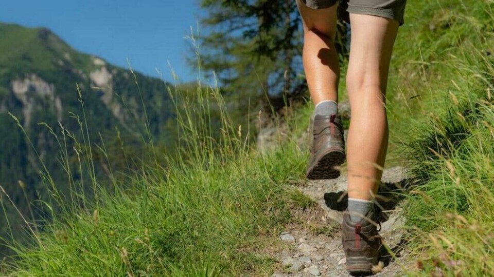 woman back wearing short hiking on a path in alpine mountain