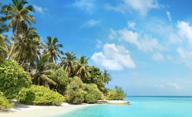 Drømmer du om sand mellom tærne, varme og sol? Hva med en reise til Maldivene? Det trenger ikke å være så dyrt om en kanskje skulle tro! vi viser deg hvor du kan finne billigere reiser og restplasser til ferieparadiset i Det indiske hav. (Foto: Apollo)