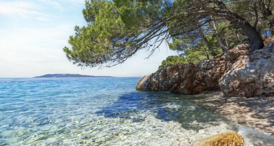 De steinete strendene på Hvar er populære. (Foto: Colourbox)
