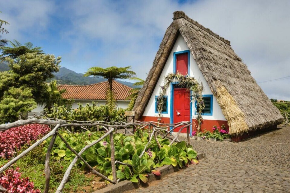 De trekantede husene med stråtak er et vanlig syn i Santana på Madeira. Vi hjelper deg med å finne restplass-reiser til den vakre øya i Portugal. (Foto: Colourbox) Bilde av et tradisjonelle trekantede hus med stråtak. Huset er av hvit mur med røde og blå detaljer. Her finner restplasser til Madeira i Portugal slik at du enkelt kan finne billig reise til den vakre øya.