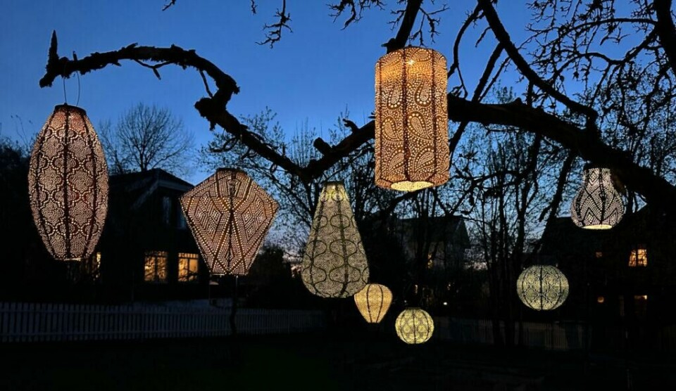 Leter du etter den ultimate sommerkveldskosen? Vi har testet solcelle-lanternene fra Lumiz. (Foto: Monika Myhre/ABC Startsiden) Test: Bilde av solcellelanterne fra Lumiz på kveldstid i en hage.