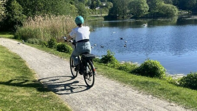 Elsykkel er i vinden som aldri før, og med økt etterspørsel blir også utvalget større. Vi viser deg hvilken elsykkel som er best i test i 2024 i for skjellige kategorier som «dame», «fulldempet», «billig», «terreng» og «dame», og fra merker som Momas, Specialized, Scott og Trek.