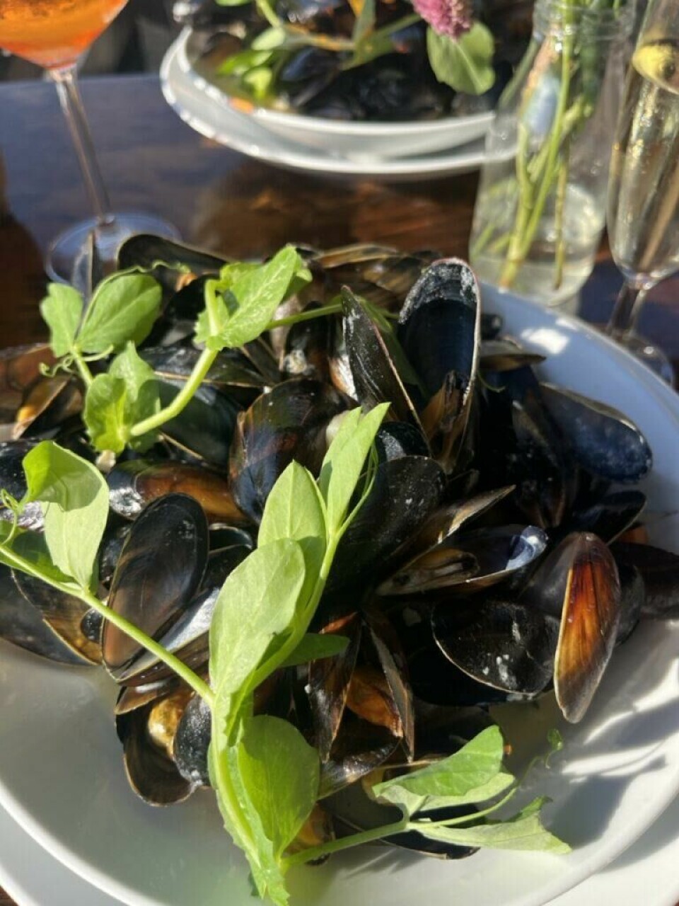 Tar du en tur på restaurant-båten Kontiki i København er det ikke bare maten du bør prøve, ta deg også en tur inn på deres noe annerledes do… Bilde av en skål med Moules frittes på restaurant-båten Kontiki i København. Jeg deler mine beste tips fra København, og både Michelin-restauranten ARK, rimeligere Gourmetrestauranter som Høst og Vækst, og restaurant på en båt kalt Kontiki. Jeg forteller også om badeplassen, restauranten og sauna-utleien La Banchina, isbar med verdens beste iskrem kalt Ismageriet, mulighet for leie av kajakk og sykkeltur til Christiania. Vinbaren med mulighet for vinsmaking kalt Champagne Kælderen, brunsj på café Flottenheimer, lån av kajakk hos Kayak Bar i i Danmarks hovedstad.