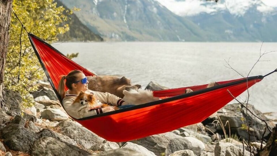 I en hengekøye kan både to- og firbeinte slappe av og nyte skogens ro. (Foto: Foto: Ticket To The Moon / Get Inspired) Dame og hund i rød hengekøye med utsikt ut over fjellvann.