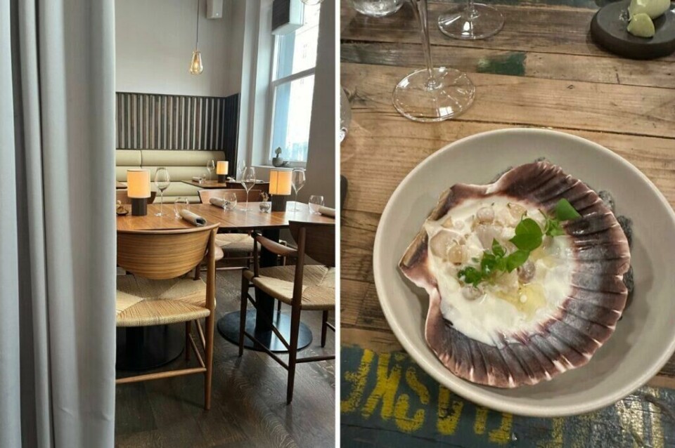 Hos restaurant ARK (f.v) har fått en Grønn Kløver, som er Michelins merke for bærekraftig gastronomi, fikk jeg servert noe av det beste jeg har smakt! Høst (til høyre) er en rimeligere gourmetrestaurant hvor du får mye for pengene! (Foto: Cecilie Aasland / Miriam Schjetlein (ABC Startsiden)) F.v: Bilde av interiør, bord og stoler hos restaurant ARK. Høyre: Bilde av maten hos restaurant Høst. Jeg deler mine beste tips fra København, og både Michelin-restauranten ARK, rimeligere Gourmetrestauranter som Høst og Vækst, og restaurant på en båt kalt Kontiki. Jeg forteller også om badeplassen, restauranten og sauna-utleien La Banchina, isbar med verdens beste iskrem kalt Ismageriet, mulighet for leie av kajakk og sykkeltur til Christiania. Vinbaren med mulighet for vinsmaking kalt Champagne Kælderen, brunsj på café Flottenheimer, lån av kajakk hos Kayak Bar i i Danmarks hovedstad.