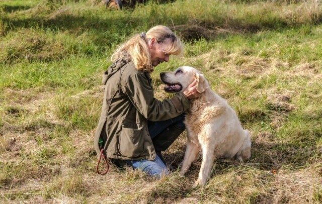 Hund er visstnok det første dyret mennesker temte. Og underveis har hunden blitt er fullverdig medlem av mang en familie og 'menneskets beste venn'. (Foto: Colourbox.com)