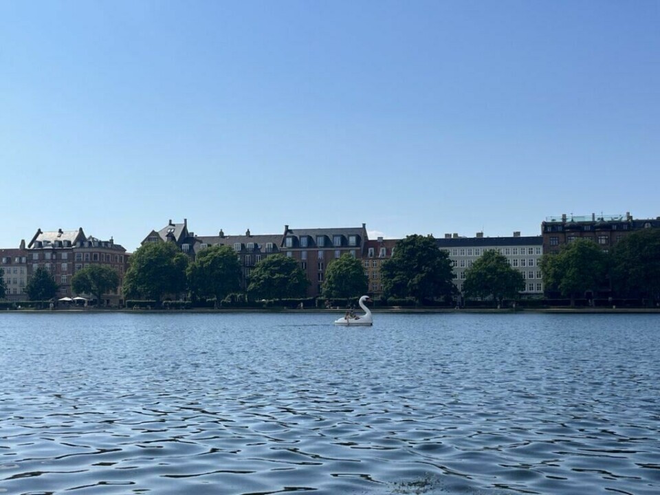 Denne ensomme svanen var langt fra alene om å flyte rundt på Peblinge Sø, en av tre «søer» i sentrum av København. Dette var vår utsikt da vi nøt noen glass champagne fra den lille champagnebaren Champagne Kælderen rett ved «søen». (Foto: Cecilie Aasland / ABC Startsiden) En ensom svane flyter rundt på Peblinge Sø, en av tre «søer» i sentrum av København. Over svanen er himmelen skyfri og blå og bak svanen ser man mange bygg langs vannet. Dette var vår utsikt da vi nøt noen glass champagne fra den lille champagnebaren Champagne Kælderen rett ved «søen». Jeg deler mine beste tips fra København, og både Michelin-restauranten ARK, rimeligere Gourmetrestauranter som Høst og Vækst, og restaurant på en båt kalt Kontiki. Jeg forteller også om badeplassen, restauranten og sauna-utleien La Banchina, isbar med verdens beste iskrem kalt Ismageriet, mulighet for leie av kajakk og sykkeltur til Christiania. Vinbaren med mulighet for vinsmaking kalt Champagne Kælderen, brunsj på café Flottenheimer, lån av kajakk hos Kayak Bar i i Danmarks hovedstad.