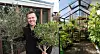 Sammensatt av to bilder. Bilde 1 er av hageekspert Espen Skarphagen som holder oliventrær. Bilde 2 viser insiden av et drivhus med frodige planter. er har vi samlet alt du trenger å vite for å både bygge, dyrke, plante og lykkes med drivhus. Skarphagen er også snart aktuell som ny dommer i Sommerhytta, hvor han vil overta for Finn Schjøll.