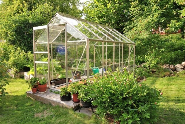 Riktig plassering av drivhuset kan ha mye å si for veksten på plantene. Er det for lite sol kan det bli dårlig vekst, mens blir det for sterk sol kan det også skape trøbbel. Hageekspert Espen Skarphagen gir deg her fem tips til hvordan du finner den beste plasseringen til drivhuset ditt. (Foto: Colourbox)