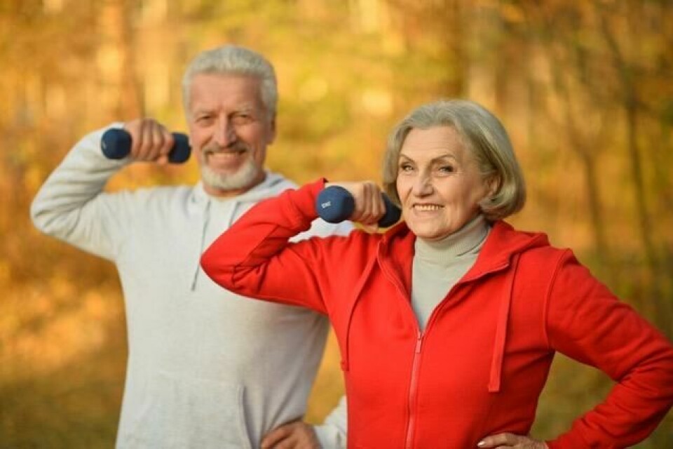 Elderly couple doing sports in the park in autumn