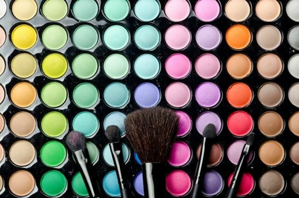 Professional makeup brushes and cosmetics