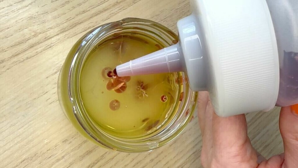 Drypp langsomt væsken ned i den kalde oljen. (Foto: Kreative Ideer/ Miriam Schjetlein) Fruktjuice som dryppes i et glass med olje for å lage fruktkaviar.