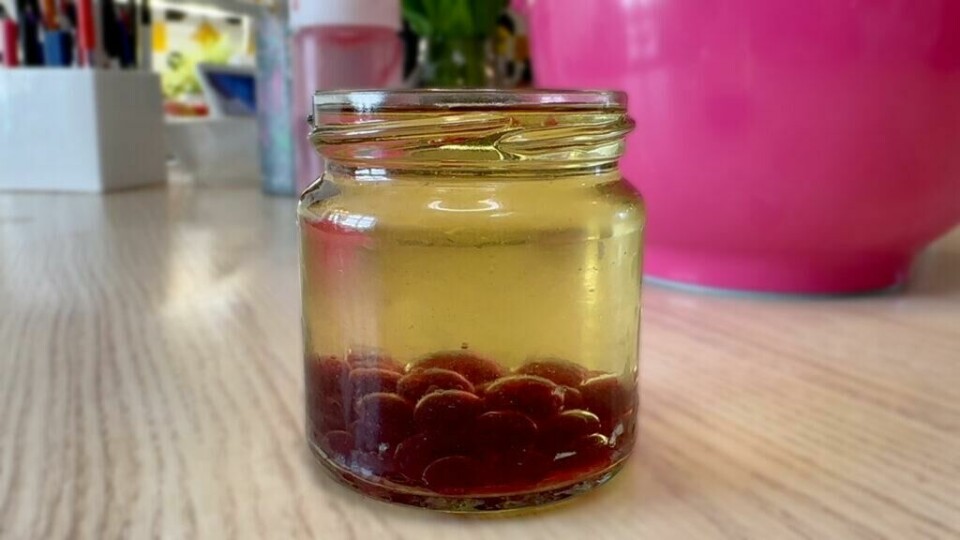 Å lage fruktkaviar er et morsomt eksperiment for barn. (Foto: Kreative Ideer/ Miriam Schjetlein) Glass med olje og røde fruktperler.
