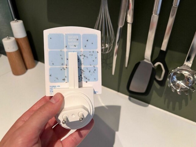 Effektiv insektfelle med limplate, perfekt for å fange bananfluer på kjøkkenet. (Foto: Dynotrap)