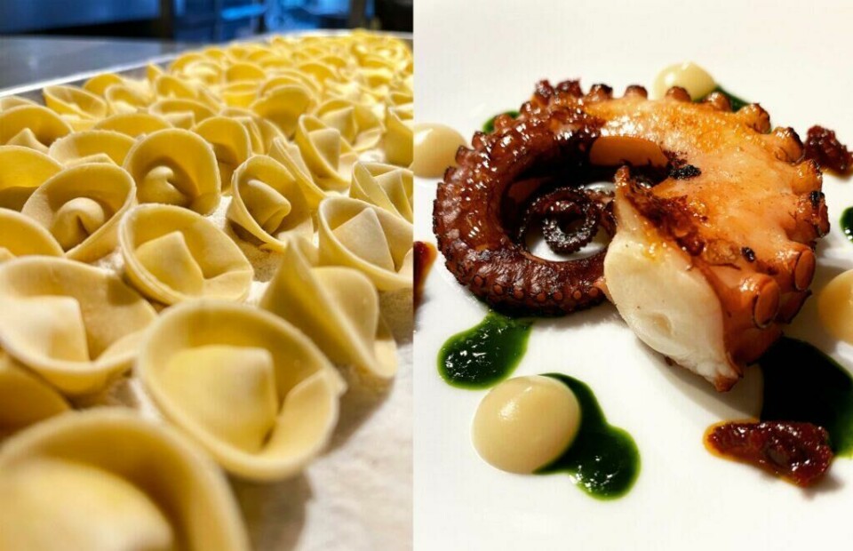 Plin er et kjent navn for matelskere i København. De serverer Italiensk med råvarer i sesong. (Foto: Restaurant PLIN) Bilde av pasta og blekksprut fra restaurant Plin i København