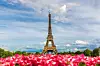Bilde av Eiffeltårnet i Paris. I forgrunnen ser du rosa blomster og i bakgrunnen er det en blå himmel. Vi gir deg en omfattende guide til kjærlighetens by som kan by på alt fra Triumfbuen, Louvre, Notre-Dame, Disneyland Paris og mye mer.