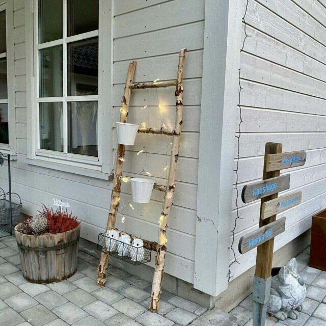 Se så fin en stige av bjørk kan bli (Foto: Hege Jevnaker-Øvstetun).