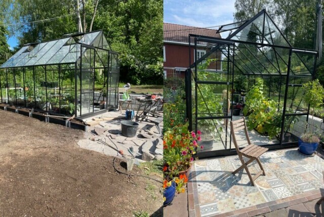 I et drivhus kan du gi de aller fleste planter en hurtig start på sesongen. (Foto: Miriam Schjetlein)