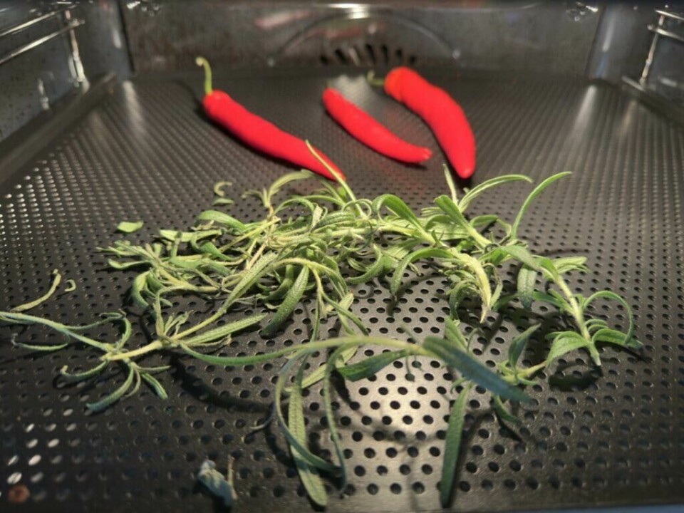 Tørkede chili, urter og en klassisk messingmorter – essensielt for autentisk krydderblanding. (Foto: Kreative Ideer/ Aurora Lange) Et nærbilde av tre tørkede, dype røde chilipepper som er lagt i et kryss på en marmoroverflate. Ved siden av ligger et glassrør fylt med tørkede urter. I øvre høyre hjørne står en messingmorter med dekorative graveringer, delvis i fokus. Bakgrunnen er en kjølig, grå marmorplate, som gir bildet et rustikt og profesjonelt preg.