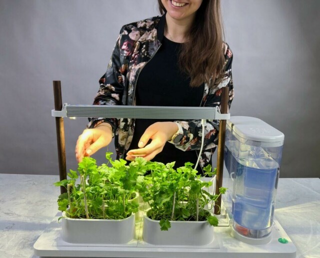Vi har gjort produkttest av Auk – en helautomatisk plantedyrker. Vi har plantet urter som koriander, persille og basilikum, og sammenlignet dyrking av urter i Auk, under enkelt plantelys og dagslys. Planteekspert Espen Skarphagen har også vært med for å gi de beste rådene om dyrking av urter. (Foto: ABC Guider)
