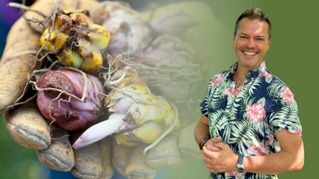 Espen Skarphagen deler sine beste tips for planting av blomsterløk om høsten. (Foto: Kreative Ideer)