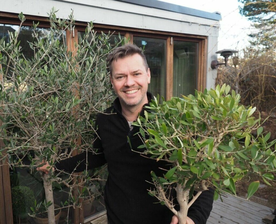 Hageekspert Espen Skarphagen gir deg sine beste tips til hvordan du velger en god plantejord, enten det er hagejord, krukkejord eller torvfri jord du er ute etter. Portrettbilde av planteekspert Espen Skarphagen som holder et oliventre i hver hånd. Eksperten forteller hvilken jord som er best. Les om krukkejord, hagejord og torvfri jord. Skarphagen er også snart aktuell som ny dommer i Sommerhytta, hvor han vil overta for Finn Schjøll.