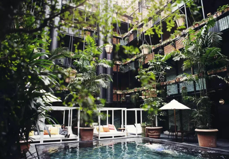 Det flotte hotellet Manon Les Suites kalles gjerne 'Et lite stykke Bali i hjertet av København' på grunn av sitt særegne og flotte interiør. (Foto: Trivago)