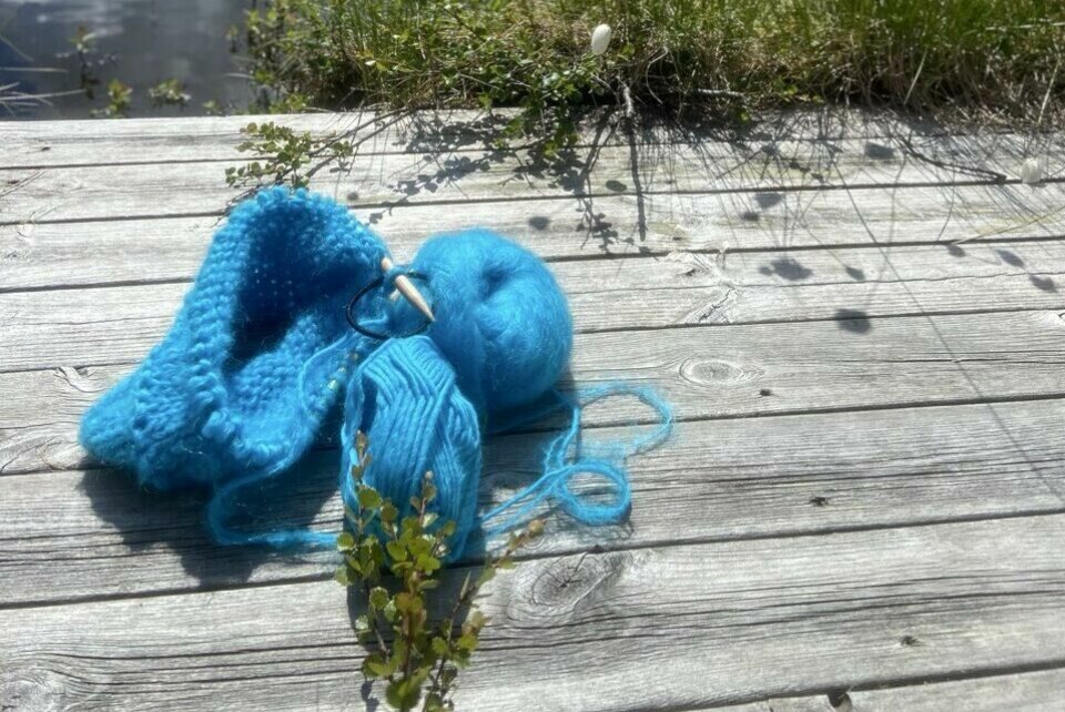 Strikking i naturen – et rolig øyeblikk ved vannkanten med nydelig blå mohairgarn. En påbegynt strikkeprosjekt i blå mohairgarn ligger på en slitt treplatting ved et skogstjern. Rundpinner og et nøste med mykt garn ligger ved siden av. Bakgrunnen viser speilblankt vann, grønn skog og hvite myrullblomster, mens solen skinner gjennom skyene.