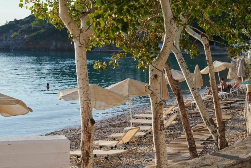Viste du at Samos er fødested til den store filosofen Pythagoras? Samos er også den mest fruktbare øya i Hellas, noe som leder til produksjon av både oliven og vin. (Foto: Apollo) Bilde av strand på Samos i Hellas, med parasoll og solsenger, trær og badende person.