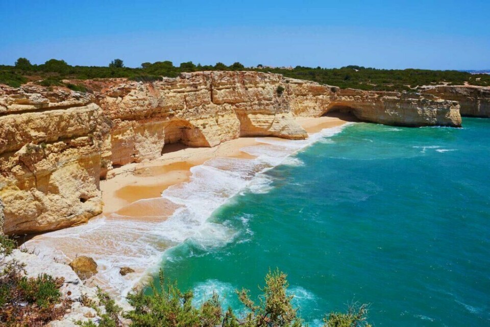 Kalksteinsklippene i Algarve, Portugal er Noe du bør oppleve på familieferie. (Foto: Apollo) Bildet viser en strand omgitt av lyse, dramatiske kalksteinsklipper med innhuggede huler. Sanden er gyllen, og bølgene slår forsiktig inn mot stranden. Havet har en intens turkis farge, og i bakgrunnen er det grønt landskap som kompletterer den idylliske kystlinjen.