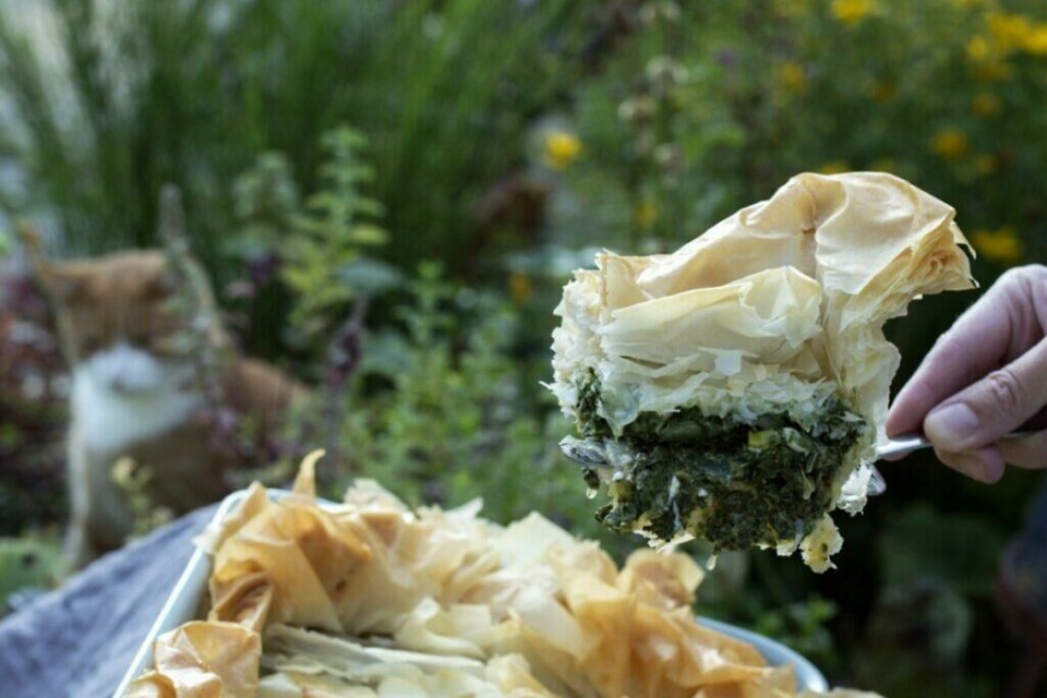 Ukesmenyens vegetar er en herlig pai med spinat og fetaost. (Foto: Frutimian.no) Ukesmeny: 7 middagstips fra Fru timian. Her avbildet: Pai med spinat