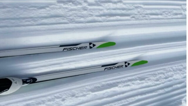 Ønsker du deg nye ski? Ifølge eksperten vil felleski være et godt valg for de aller fleste. Her forteller hun hva det er viktig å huske når du skal kjøpe felleski. Hun avkrefter også myten om at høyde har mye å si for riktig valg av ski. (Foto: Cecilie Aasland / ABC Guider)