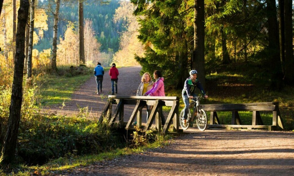 Turveien rundt Sognsvann på 3,2 kilometer er en av Norges mest brukte gå- og løpestier. Veien er opplyst og rullestolvennlig. (Foto: CH / VisitNorway) Songsvann utenfor Oslo med person på sykkel, to damer på bro som snakker, grusvei, trær og gress i solskinn.