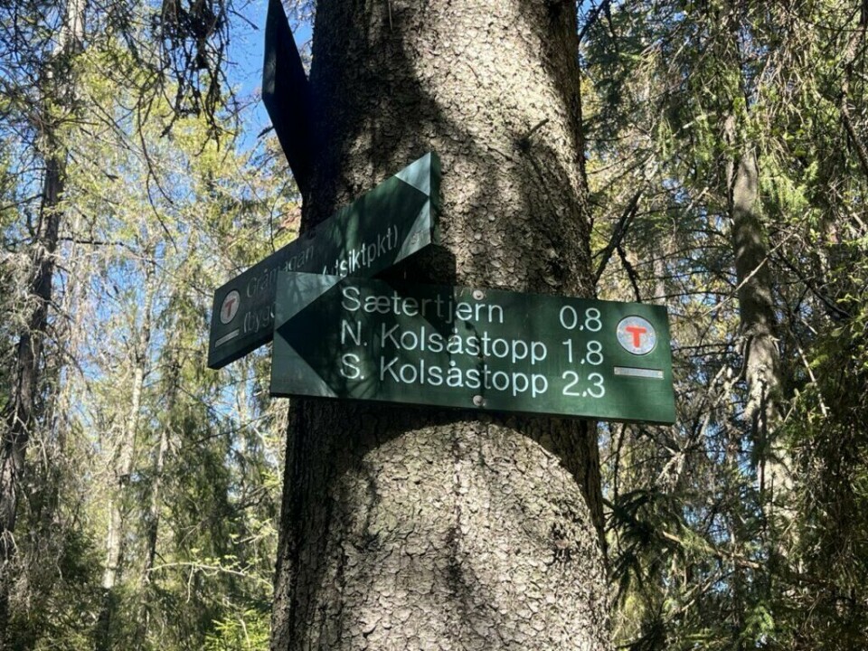 (Foto: Cecilie Aasland / ABC Startsiden) Et grønt tursskilt er festet til en trestamme i en tett skog med høye grantrær og sollys som sildrer gjennom trekronene. Skiltet viser retninger og avstander til ulike turmål i Kolsås-området i Bærum. Til venstre peker skiltet mot Gråmagan (utsiktspunkt), og rett frem mot Sætertjern (0,8 km), Nordre Kolsåstopp (1,8 km) og Søndre Kolsåstopp (2,3 km). Skiltet er merket med Den Norske Turistforenings røde T-symbol. Stemningen er typisk for en vår- eller sommerdag i Oslomarka, med blå himmel og grønt løvverk. Kolsåstoppene er et flott alternativ for deg som ønsker en fjelltur og er i Oslo-området. Her kan du velge mellom Nordre og Søndre Kolsåstopp og turen tar ca tre og en halv time.
