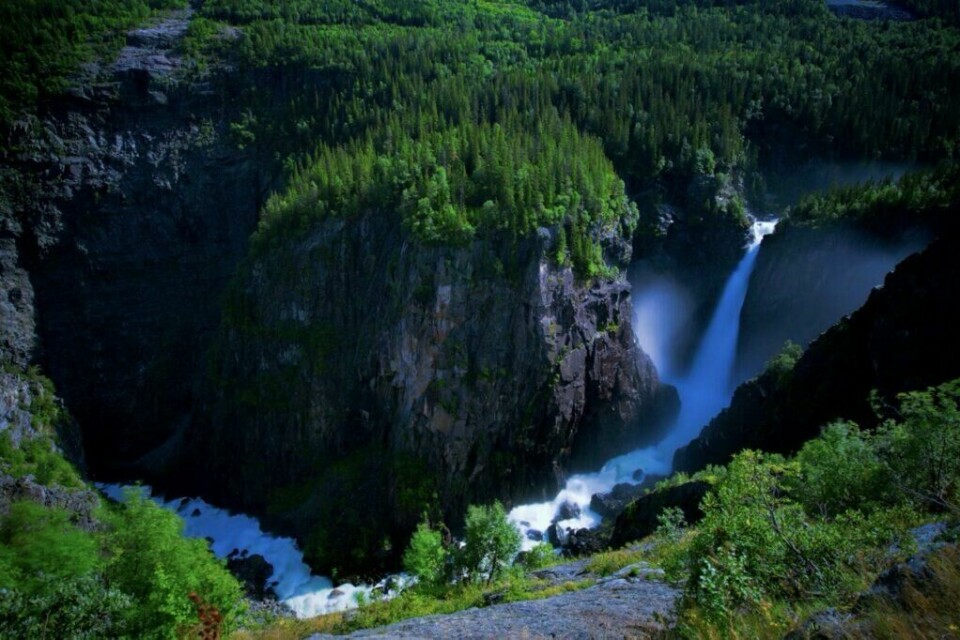 Rjukanfossen i Tovdal er imponerende og hvert år er det mange som tar turen fra Dale, opp langs den vernete Tovdalselva til Rjukanfossen. (Foto: Canva)