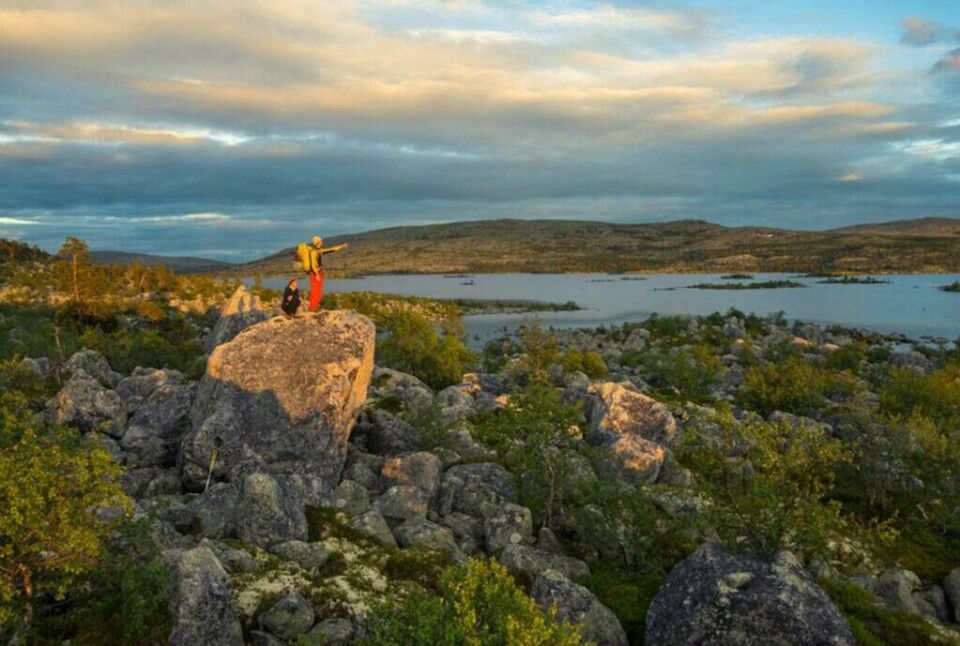 Femundmarka er et av de største sammenhengende villmarksområdene i Sør-Skandinavia. Her får alle sansene sitt. (Foto: Trøndelag Reiseliv / trondelag.com) Personer som står i Femundmarka, på toppen av en stein og peker ut over innsjø i Norge. En av våre anbefalte fjellturer i Norge.