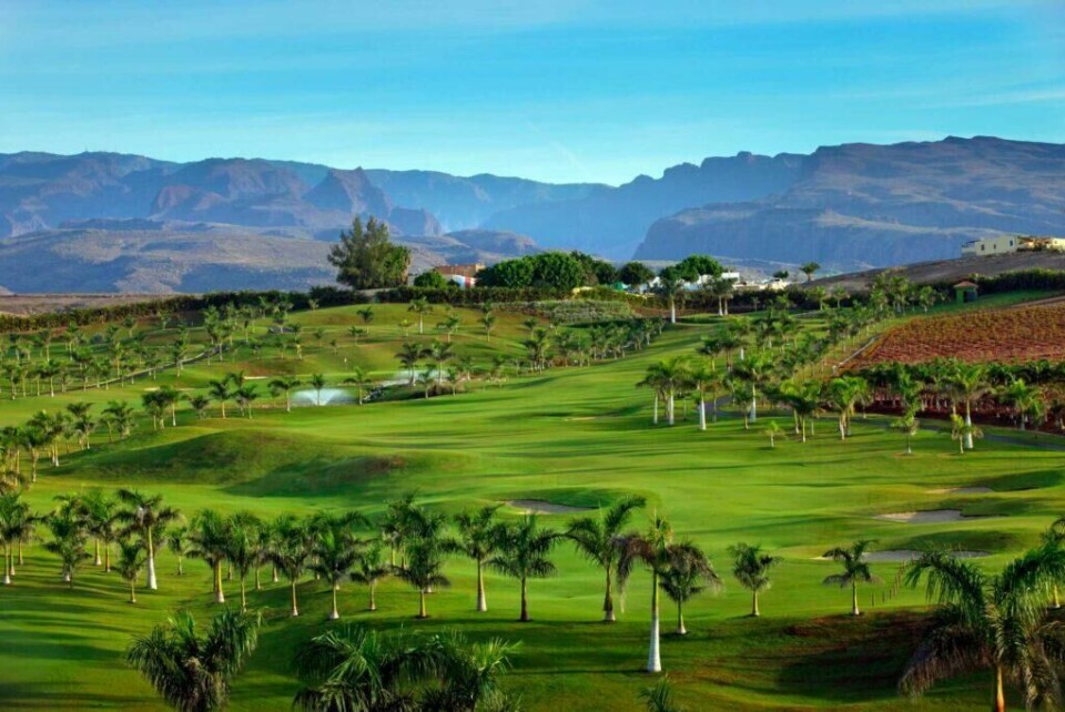 Det er flere golfbaner på Gran Canaria. Den høyest rankede er Anfi Tauro, som regnes som den 84. beste banen i hele Europa. (Foto: Apollo) golfbane meloners gran canaria