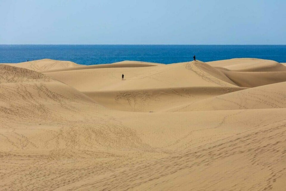Sanddynene på Maspalomas er et yndet reisemål når du besøker Gran Canaria. (Foto: Apollo) sanddyner på maspalomas på Gran Canaria