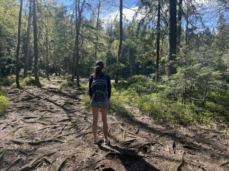 Hvilken tursekk skal jeg velge? Dette spørsmålet stiller mange seg. Med hjelp av en ekspert gir vi deg svaret på hva forskjellene er på tursekk til dame og herre, om du skal velge liten tursekk, mellomstor eller stor, samt samlet populære tursekker fra merker som Bergans og Osprey. (Foto: Cecilie Aasland / ABC Startsiden) En person som står på i en skog, foran et tjern, med utsikt over skog og vakker sommer-kledd natur. Damen har på seg en grå tursekk, en blå treningstights, caps og en svart genser. Vi har fått eksperthjelp til å lage en guide på hvordan man velger riktig tursekk, som liten tursekk, mellomstor eller stor. I tillegg forklarer vi forskjellene på tursekk dame vs tursekk til mann, og legger fram populære sekker fra Osprey og Bergans.