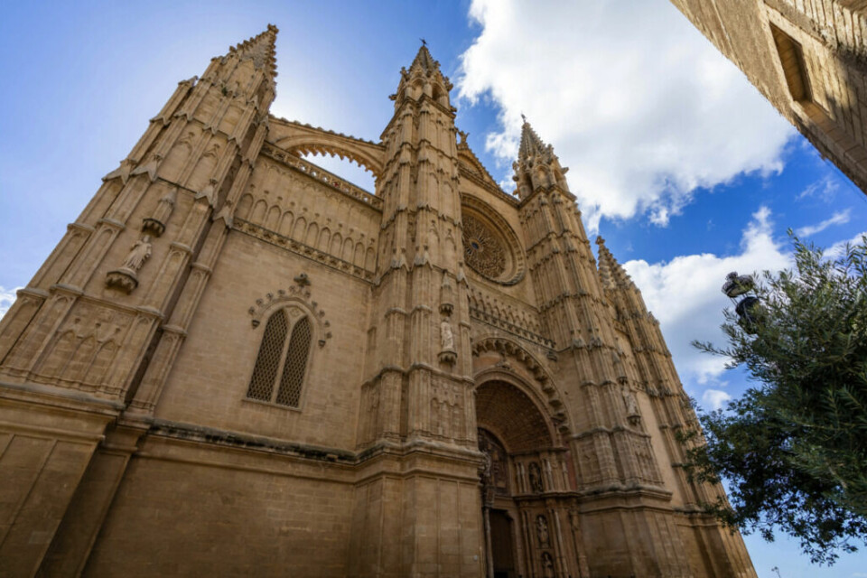 Tar du deg turen til Palma de Mallorca anbefales det å besøke Le Seu-katedralen i sentrum av Palma de Mallorca. Den gotisk-katolske katedralen er en av de mest berømte katedralene på den spanske øya, tilhørende øygruppen Balearene. (Foto: Canva) Dette bildet viser den imponerende La Seu-katedralen i Palma de Mallorca, en av Spanias mest ikoniske gotiske bygninger. Detaljbeskrivelse: Katedralens massive fasade, laget av sandstein, har høye spir, utsmykkede buer og detaljerte skulpturer. Det store rosevinduet (Ojo del Gótico) skaper et spektakulært lysinnfall inne i katedralen. Fotoperspektivet forsterker bygningens majestetiske størrelse, mens den blå himmelen med hvite skyer gir en dramatisk bakgrunn. En olivengren og en smijernslampe i forgrunnen tilfører en autentisk middelhavsatmosfære. Bildets budskap: Dette bildet fanger essensen av Mallorcas rike kulturarv, arkitektoniske prakt og historiske betydning, og viser hvorfor La Seu er en av øyas mest populære attraksjoner.Tar du deg turen til Palma de Mallorca anbefales det å besøke Le Seu-katedralen i sentrum av Palma de Mallorca. Den gotisk-katolske katedralen er en av de mest berømte katedralene på den spanske øya, tilhørende øygruppen Balearene.