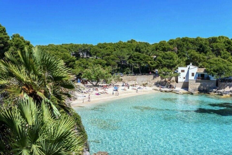 Palma de Mallorca er kjent for mer enn sin storslagne katedral La Seu. For deg som vil late deg å stranden er de nemlig også kjent for Playa de Palma, Cala Mayor og Illetas-stranden. Vil du virkelig oppleve krystallklart vann kan du ta deg turen til Es Trenc, som ligger litt lenger unna byen. (Foto: Apollo) Palma de Mallorca er kjent for mer enn sin storslagne katedral La Seu. For deg som vil late deg å stranden er de nemlig også kjent for Playa de Palma, Cala Mayor og Illetas-stranden. Vil du virkelig oppleve krystallklart vann kan du ta deg turen til Es Trenc, som ligger litt lenger unna byen.
