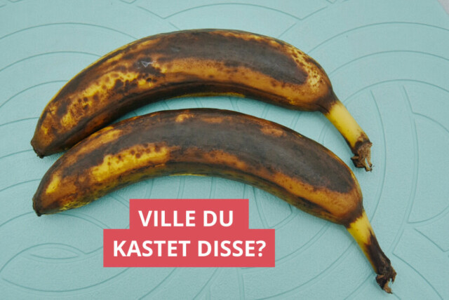 Overmodne bananer er perfekt til smoothies, bananbrød eller pannekaker – ikke kast dem! (Foto: Miriam Schjetlein)