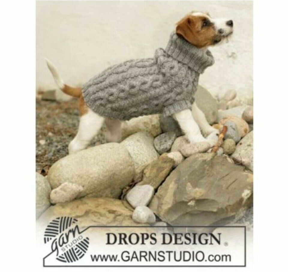 Strikket hundegenser i Drops Karisma med flettemønster. (Foto: Drops Design) Liten hvit og brun hund i strikkegenser med flettemønster.