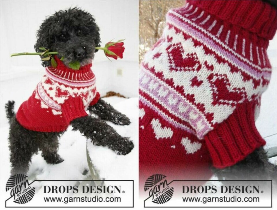 En skikkelig Valentines-inspirert genser strikket i Drops Karisma. (Foto: Drops Design) Svart hund i genser med hjertemønster i rødt, hvitt og rosa.